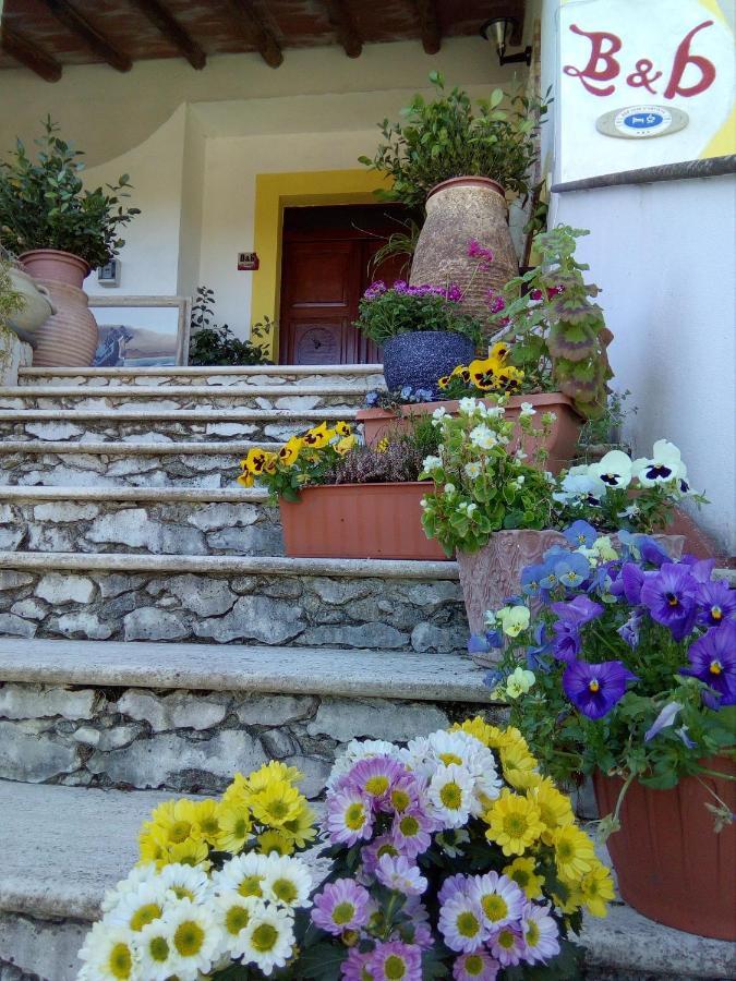 Casa D' Artista B&B Ozieri Zewnętrze zdjęcie