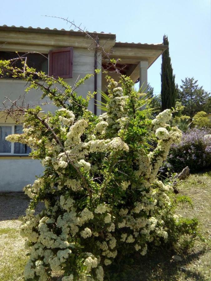 Casa D' Artista B&B Ozieri Zewnętrze zdjęcie